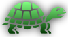 Tortoise